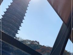 -听松楼·花园酒店·自助餐厅(红梅公园店)