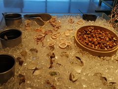 -龙之梦万丽酒店青餐厅