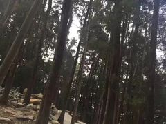 -寂照庵