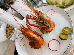 熟醉罗氏虾-人间采蜜(海信广场店)
