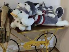 -Husky Go! 哈士奇体验馆·宠物咖啡厅狗咖