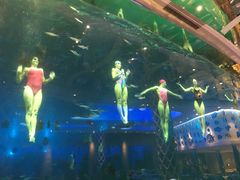 -瑞德姆美人鱼海底演艺主题餐厅(亚龙湾店)
