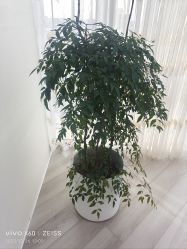 -HEYAN荷妍专业脱毛连锁机构