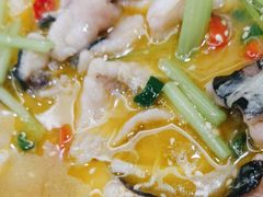 -鲁宴·鲁煨黄河生态大鲤鱼(月坛店)