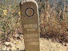 -梧桐山风景名胜区