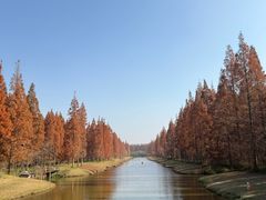 -黄海国家森林公园