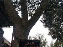 -关林