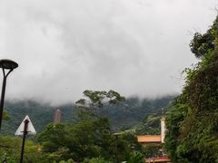 -深圳仙湖植物园