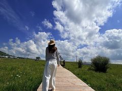 -御道口草原森林风景区