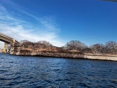 -台场海滨公园船码头