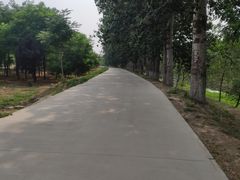 -东坝千亩湖公园
