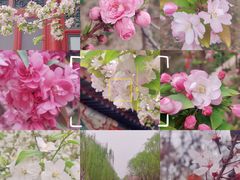 -海棠花溪(元大都城垣遗址公园)