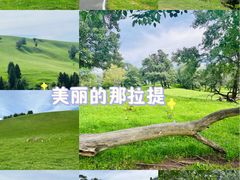 -新疆那拉提国家旅游度假区