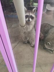 -萌宠亲子动物乐园(槐房万达店)