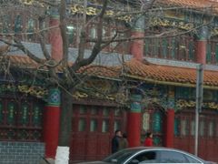 -云南古玩城(护国路店)