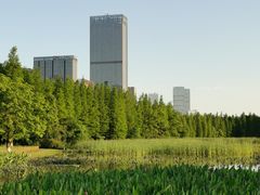 -艾溪湖湿地公园