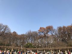 -音乐台