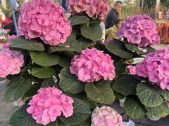 -甘肃国际会展中心