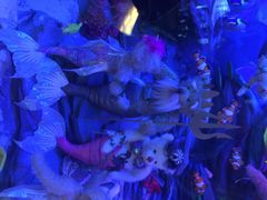 泰迪熊博物馆-成都泰迪熊博物馆