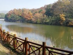-白马涧龙池景区