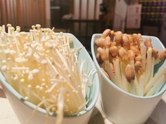 鲜花生芽-矮冬瓜红茶火锅