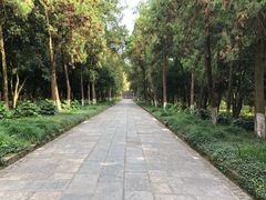 -灵谷景区