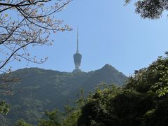 -梧桐山风景名胜区