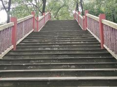 -南山植物园