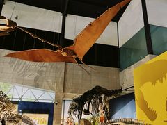 -湖南省地质博物馆