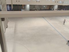 -TheRink大零溜冰场(IFS国金中心店)