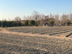 -歌斐颂巧克力小镇