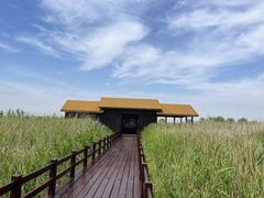 -宁波杭州湾国家湿地公园
