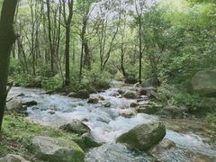 -玉渡山自然风景区