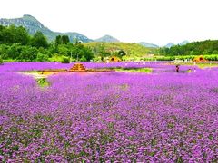 -哒啦仙谷旅游景区
