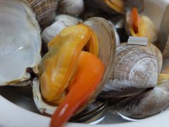 -日丰园海肠水饺·老字号大连海鲜(小平岛总店)