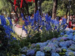 -荔湾湖公园