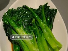 白灼广东芥蓝-维园悦谱·海派家常菜(乌鲁木齐南路店)