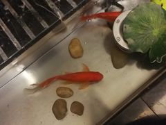 -旺顺阁鱼头泡饼(常营店)