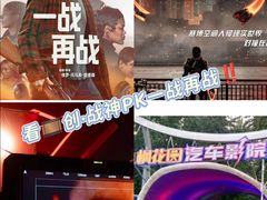 -枫花园汽车电影院(朝阳公园店)