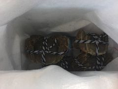 -丫丫蟹庄·苏式园林农家乐·阳澄湖大闸蟹(阳澄湖莲花岛店)