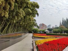 -上海市龙华烈士陵园