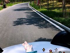 -天津东丽湖风景区