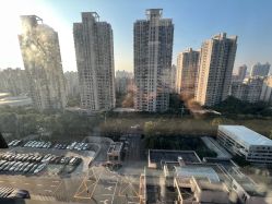 -上海交通大学医学院附属上海儿童医学中心(陆家嘴总院区)