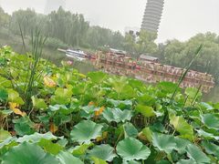 -西海子公园