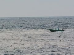 -硇洲岛旅游区