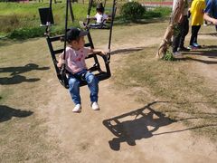 -黄海国家森林公园