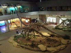 -自贡恐龙博物馆
