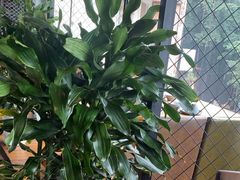 -盐帮食坊•小河帮川菜(四川师大店)