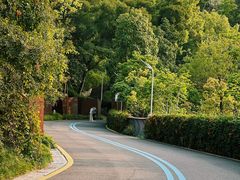 -飞凤山奥体公园