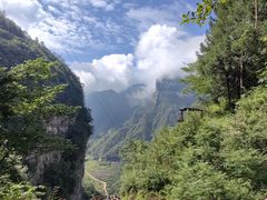 -鹿院坪生态旅游景区